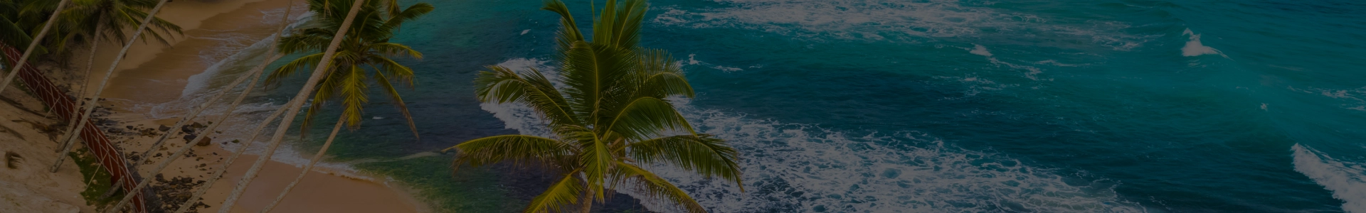 Plan Your Vacation Holidays On A Luxurious Cruise Cordelia Cruises